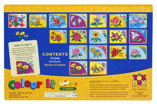 5th product image for Learn About Flowers: Toyztrend Colour-It Game- BachcheCompany.com